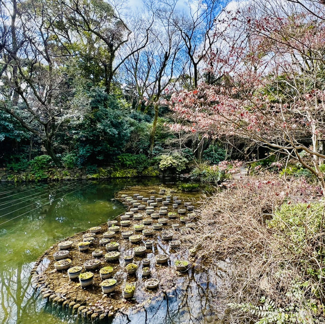 大阪周邊@萬葉植物園