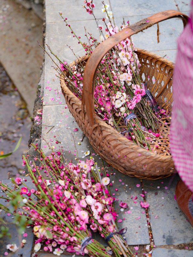 原來陶淵明筆下的《桃花源記》是真實存在的！！