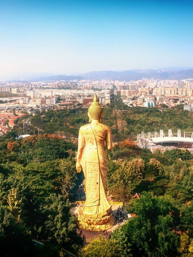 西雙版納親子遊 植物園探險之旅要去