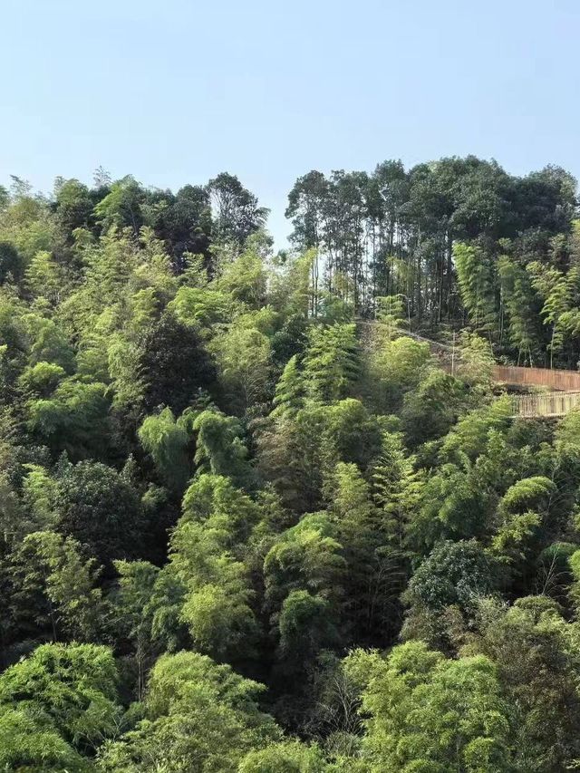 宜賓2日遊 探秘自然山水之奇景