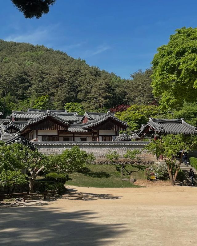 韓國冷門但絕美的小城！安東2天1夜，我找到了韓劇裡的治癒感