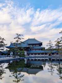 日本7日遊 超詳細攻略 不踩雷