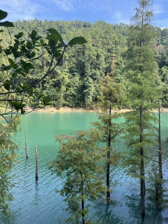 仙蹤龍隱，山水間的靈秀之境