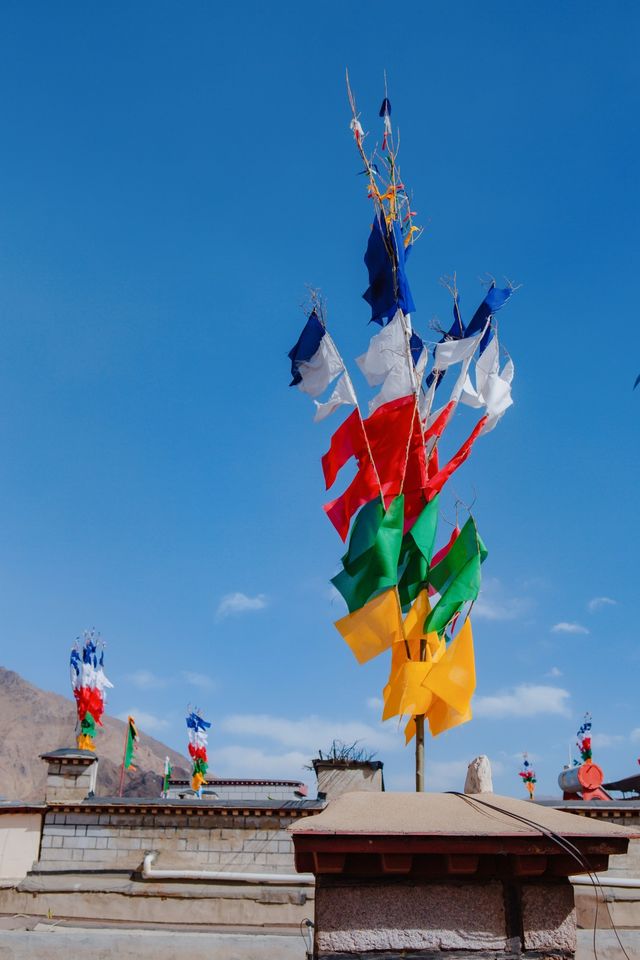 西藏小眾旅行地，探秘扎基寺的虔誠與信仰