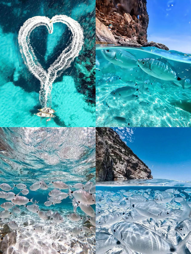 撒丁島 地球上僅此一片的果凍海