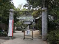 🌸人少景美的賞櫻寶藏地——櫻井神社