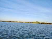鶴鳴湖公園・濕地仙境的生態詩篇