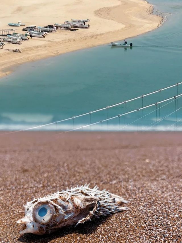 來欣賞阿曼蘇哈爾的醉人海景吧