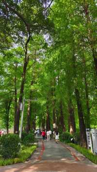 流花湖公園