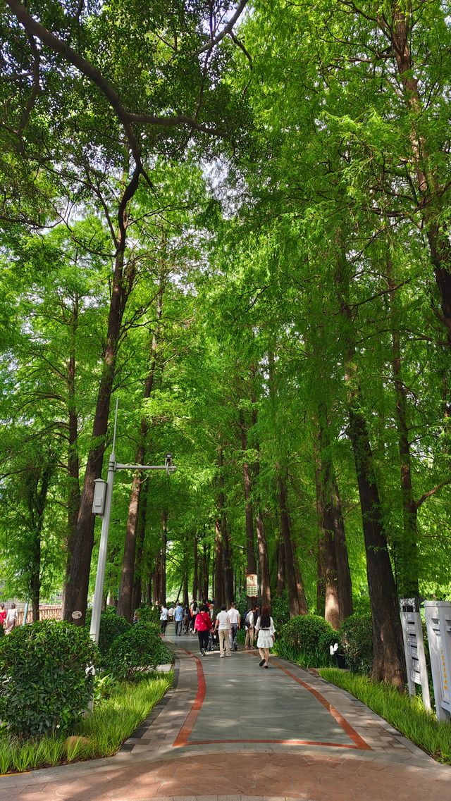 流花湖公園