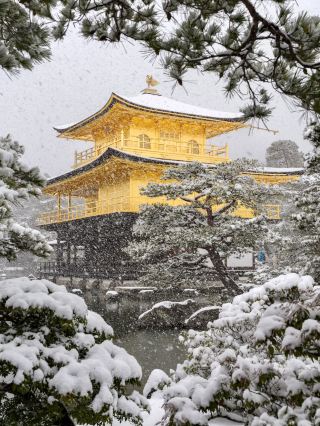 8 Days in Japan: Your Ultimate Guide