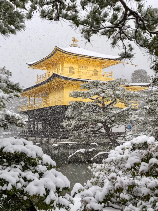 8 Days in Japan: Your Ultimate Guide
