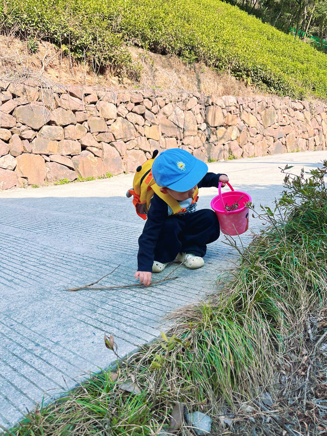 兩天一夜安吉親子遊
