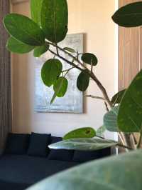 麗江最超值的高性價比酒店!服務好到爆