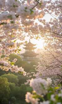 四月芳菲，賞花之旅正當時！解鎖中國四大絕美賞花城市