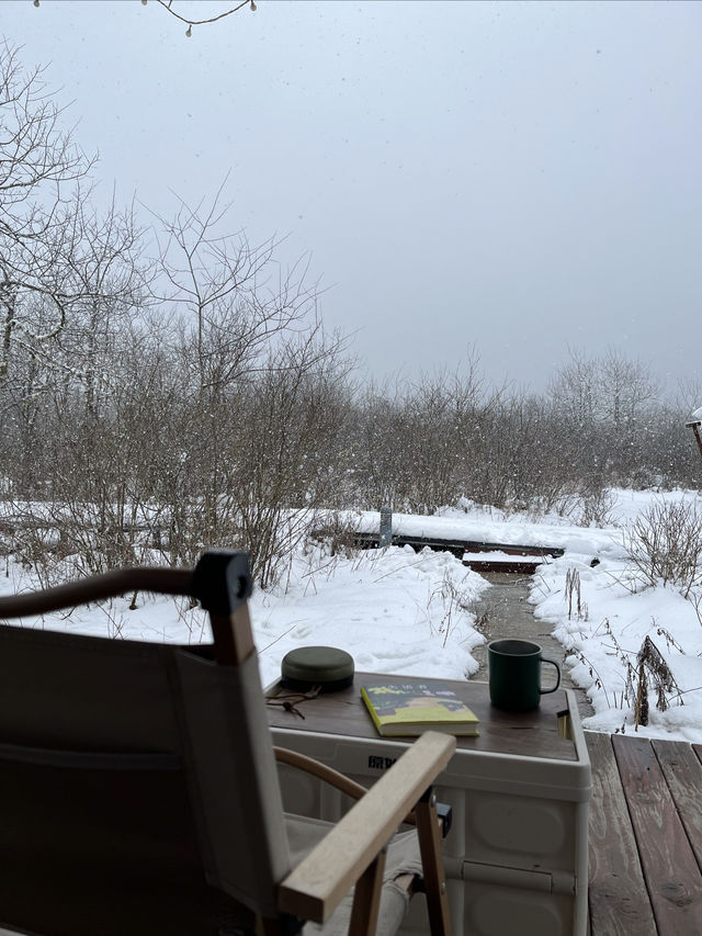 在春日裡去雪山撒歡