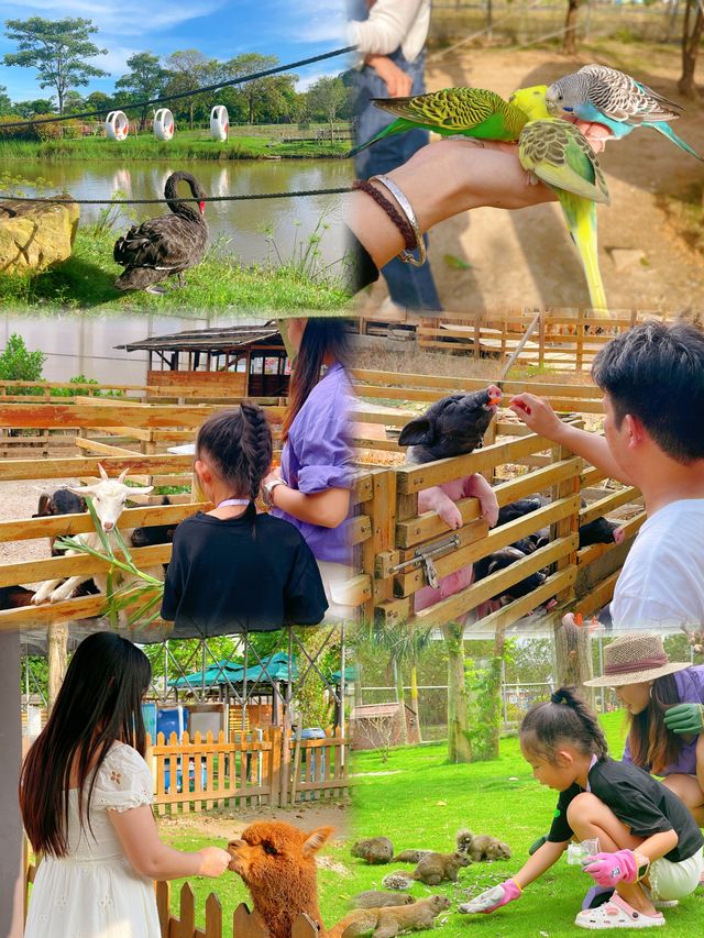 珠海親子遊必到絕美玫瑰園打卡，開啟純玩的一天