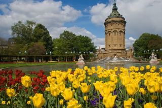 A Trip to Mannheim, Germany
