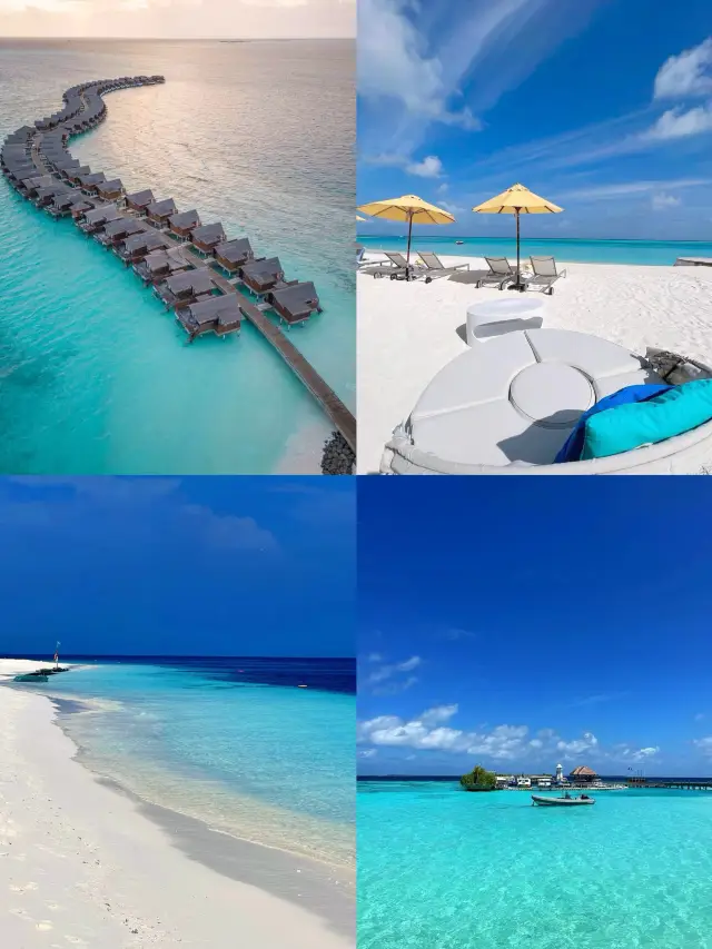 몰디브 여행 가이드: 월급 5천 위안으로 "섬 주인" 되기!