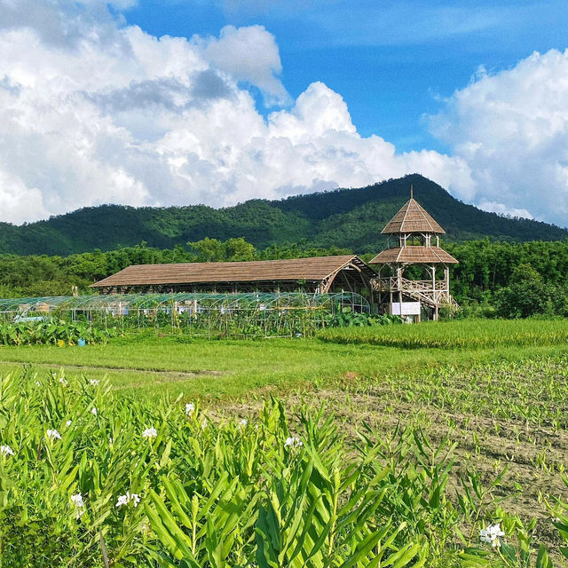 🌳中山旗溪村 | 週末撒野放鬆的好去處✨