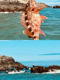 舟山海釣體驗分享，出海釣魚避雷