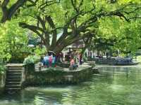 Explore the Wonders of Xixi Wetland in Hangzhou