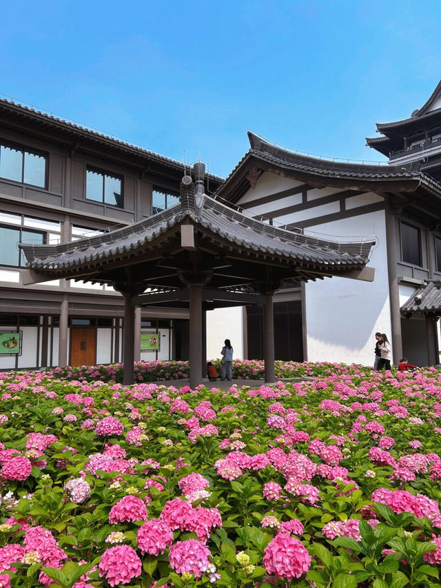 探秘廣州文博新地：文化館