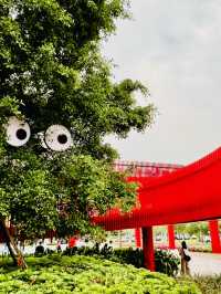 深圳最美的虹橋公園！！