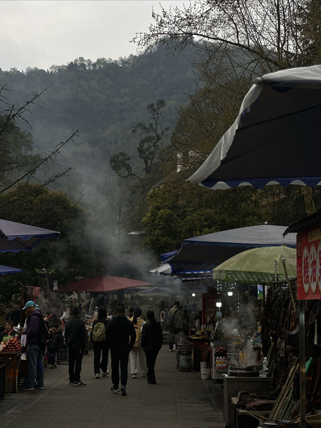 成都青城山！！花得最值嘅一筆錢！！！唔捨得退房….