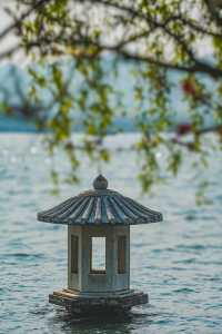 來自春天的明信片：杭州柳浪聞鶯賞花攻略