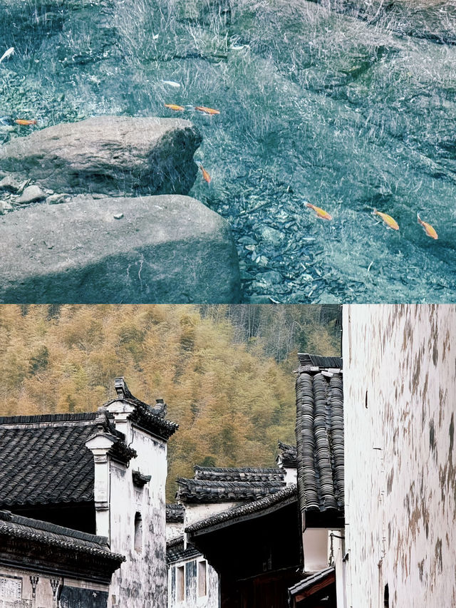 值得一再回味嘅小眾旅遊景點桐廬！三天兩夜攻略