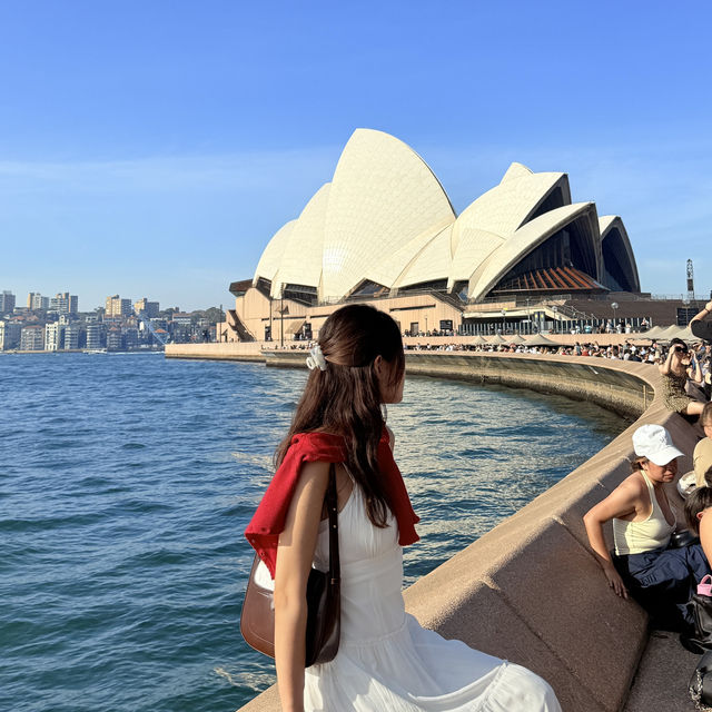호주 대표 도시 호주 3박 4일 일정 코스 이렇게만🇦🇺