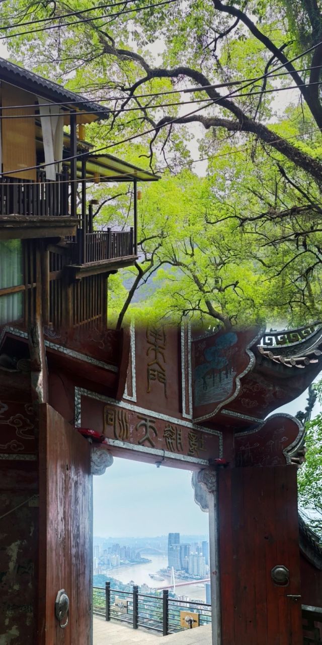 重慶人私藏的寶藏徒步路線：穿越800年歷史的黃葛古道