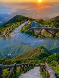 深圳|左手摩天大樓右手大鵬灣,這座城會「分身術」!