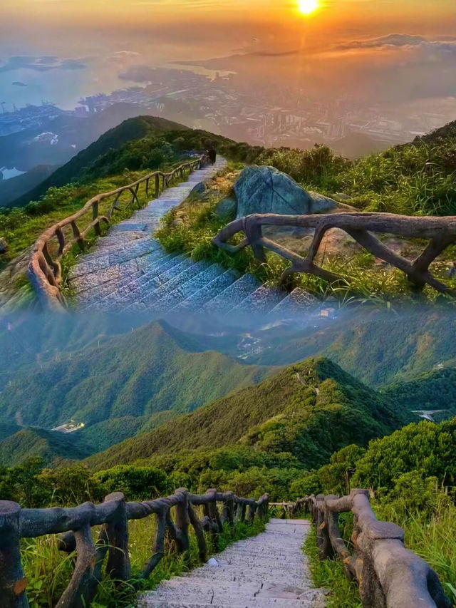 深圳|左手摩天大樓右手大鵬灣,這座城會「分身術」! 深圳|左手摩天大樓右手大鵬灣,這座城會「分身術」!