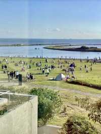 海風與綠意的交響曲：漫步葛西臨海公園