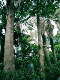 【廈門攻略】3天2晚玩轉海上花園，本地人私藏路線大公開！