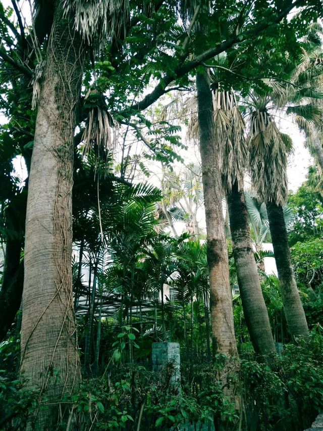 【廈門攻略】3天2晚玩轉海上花園，本地人私藏路線大公開！