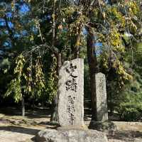 🌿【福岡聖福寺｜鬧市中靜藏千年的唐宋遺風】