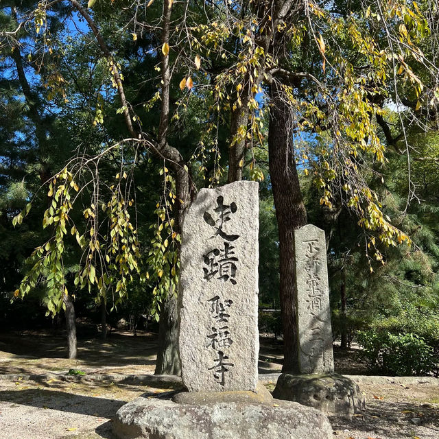 🌿【福岡聖福寺｜鬧市中靜藏千年的唐宋遺風】
