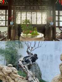 蘇州網師園 | 小眾寶藏園林，邂逅江南詩意