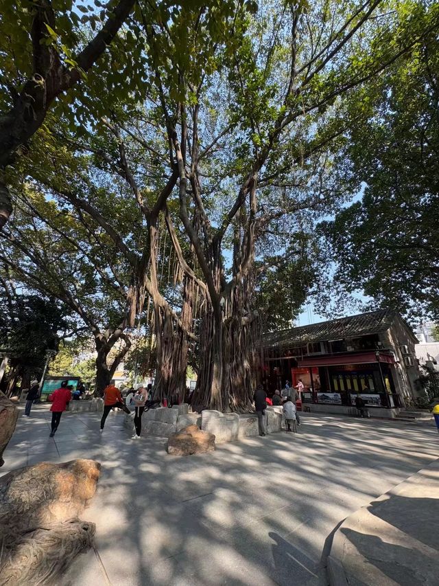 打卡荔灣湖公園 邂逅嶺南水鄉