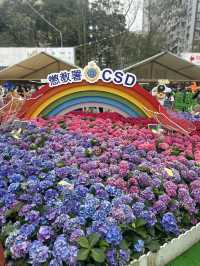 香港維多利亞公園花卉展的魅力！