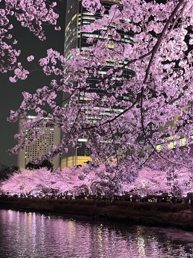 🌸首爾石村湖，夜櫻絕美之境
