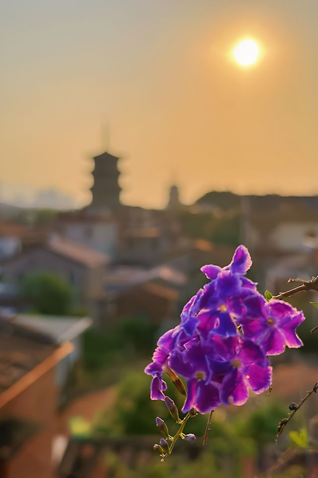 泉州天氣盲盒開到大晴天！傍晚天台追光攻略～