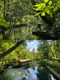 東京最美的美術館『根津美術館』