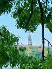 廣東惠州西湖！嶺南偏愛的城市