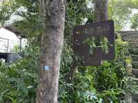 The Best View Of Taipei, Elephant Mountain! Free and convenient ( it’s a must do)