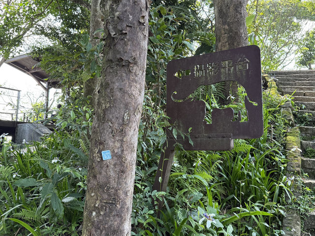 The Best View Of Taipei, Elephant Mountain! Free and convenient ( it’s a must do)