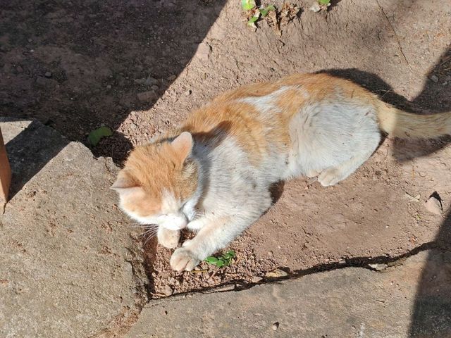探秘川南勝境｜西昌瀘山雲端之旅